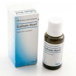 Galium Heel Gocce 30ml